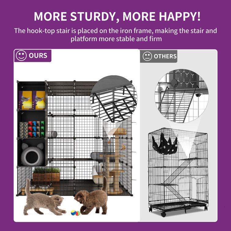 Kittens top cage indoor